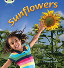 Bug Club Phonics - Phase 5 Unit 20: Sunflowers-9781408260906