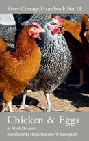 Chicken & Eggs