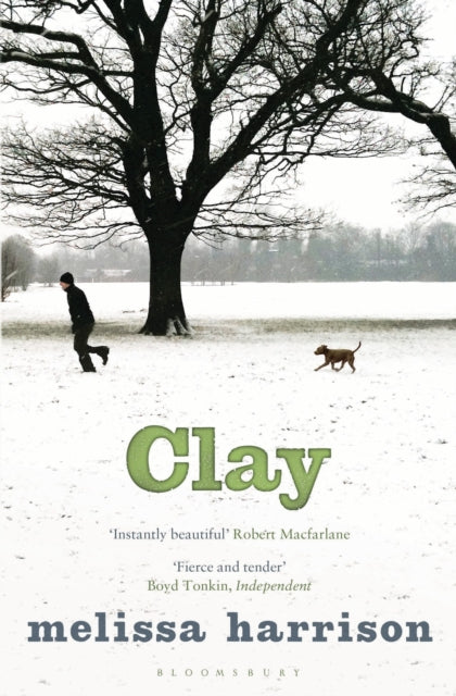 Clay-9781408842553