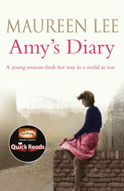 Amy's Diary-9781409137382