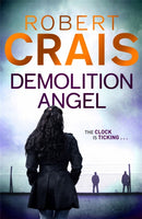 Demolition Angel-9781409138235