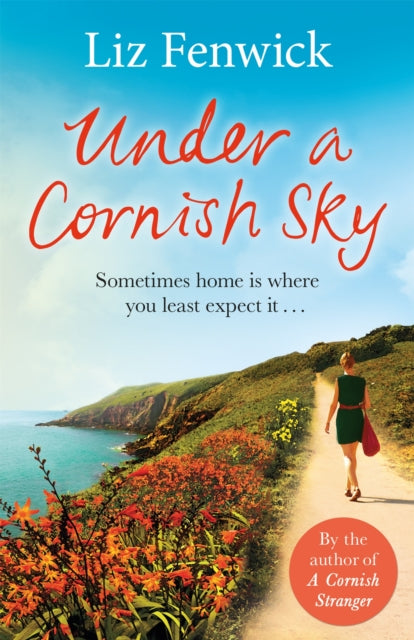 Under a Cornish Sky-9781409148289