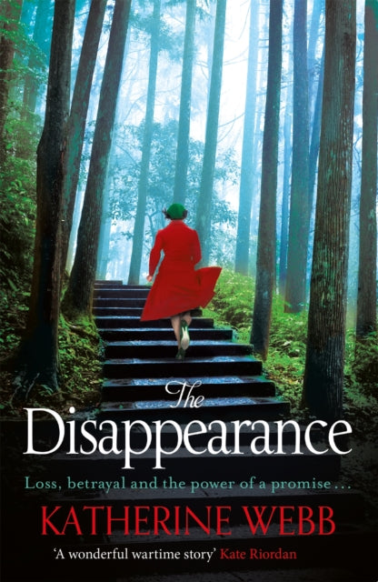The Disappearance-9781409148623