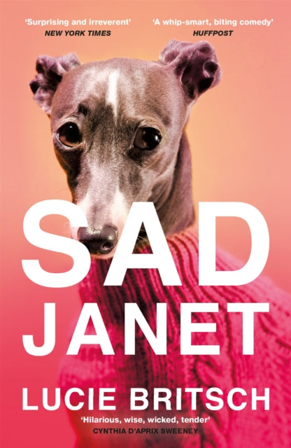 Sad Janet : `A whip-smart, biting tragicomedy' HuffPost-9781409198666