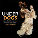 Underdogs-9781409199281