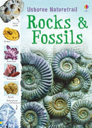 Rocks and Fossils-9781409527695