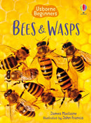 Bees and Wasps-9781409544876