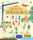 Big Picture Thesaurus-9781409598749