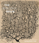 The Beautiful Brain : The Drawings of Santiago Ramon y Cajal-9781419722271