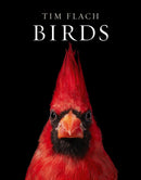 Birds-9781419747618