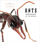 Ants: Workers of the World-9781419748493