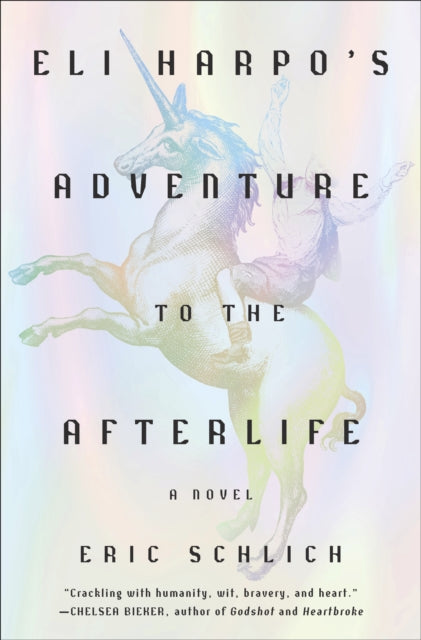 Eli Harpo's Adventure to the Afterlife : A Novel-9781419769122