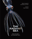 The Radiant Sea : Color and Light In the Underwater World-9781419772375