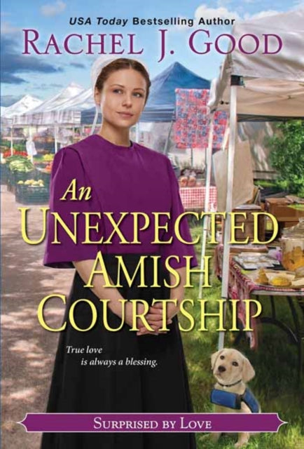 Unexpected Amish Courtship, An-9781420150384