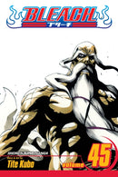 Bleach, Vol. 45 : The Burnout Inferno-9781421542980