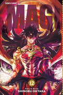 Magi: The Labyrinth of Magic, Vol. 12-9781421559629