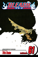 Bleach, Vol. 61 : The Last 9 Days-9781421573830
