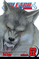 Bleach, Vol. 62-9781421576817