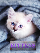 Kittens-9781422243169