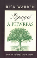 Bywyd a Phwrpas-9781422806487