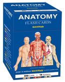 Anatomy Flash Cards (300 Cards)-9781423251385