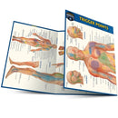 Trigger points