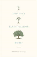 How Does Sanctification Work?-9781433556104