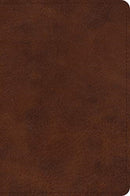 ESV Large Print Bible (TruTone, Deep Brown)