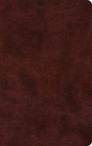 ESV Large Print Thinline Bible