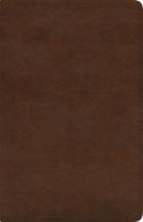 ESV Spanish/English Parallel Bible (La Santa Biblia RVR 1960 / The Holy Bible ESV, TruTone, Brown)