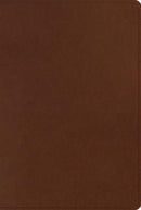 ESV Men's Study Bible