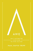 Awe : Why It Matters for Everything We Think, Say, and Do (with Study Questions)-9781433597558
