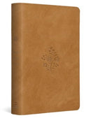 ESV Student Study Bible-9781433598258