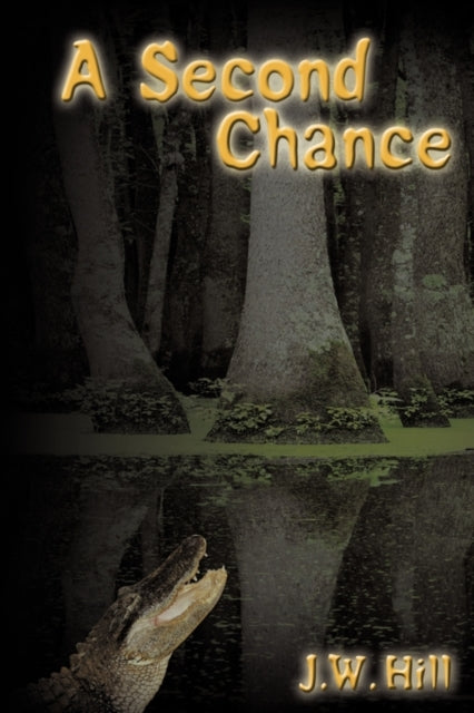 A Second Chance-9781438933023