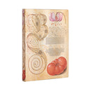 Lily & Tomato (Mira Botanica) Midi Lined Journal-9781439793480