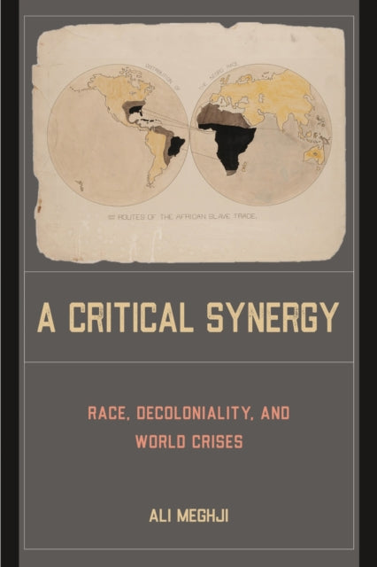 A Critical Synergy : Race, Decoloniality, and World Crises-9781439922071