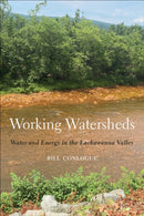 Working Watersheds : Water and Energy in the Lackawanna Valley-9781439926178