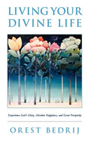 Living Your Divine Life-9781441551870