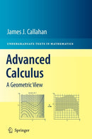Advanced Calculus : A Geometric View-9781441973313