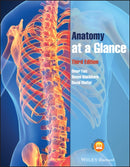 Anatomy at a Glance-9781444336092