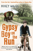 Gypsy Boy on the Run-9781444720228