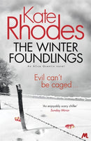 The Winter Foundlings : Alice Quentin 3-9781444738841