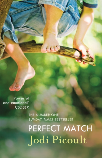 Perfect Match : the international bestseller about the strength of a mother's love-9781444754582