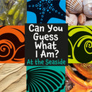 Can You Guess What I Am?: At the Seaside-9781445144764