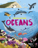 The Big Picture: Oceans-9781445170534