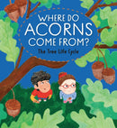 Where Do Acorns Come From? The Tree Life Cycle