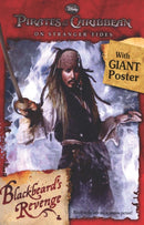 Blackbeard's Revenge-9781445419350