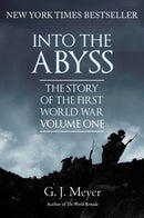Into The Abyss : The Story of the First World War, Volume One-9781445680019