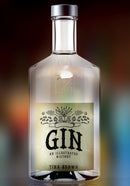 Gin: An Illustrated History-9781445680057