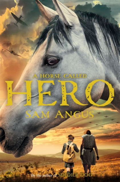 A Horse Called Hero-9781447235774